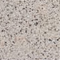 TERRA/GRANIT