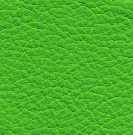 Leather P08 zelená 