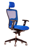 Kancelářská židle DIKE +Podhlavník